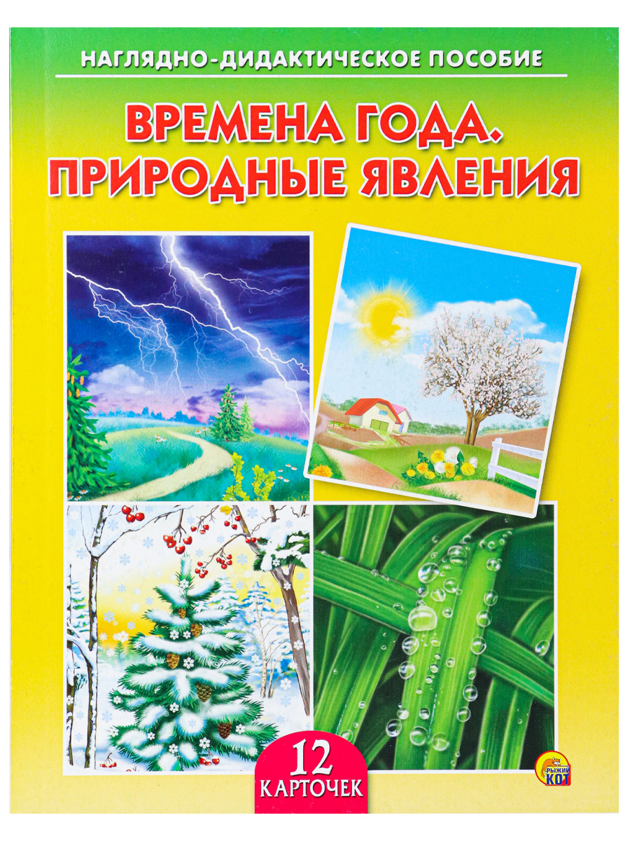 ДИД. ПОСОБИЕ. ВРЕМЕНА ГОДА. ПРИРОДНЫЕ ЯВЛЕНИЯ (Арт.ПД-7256)